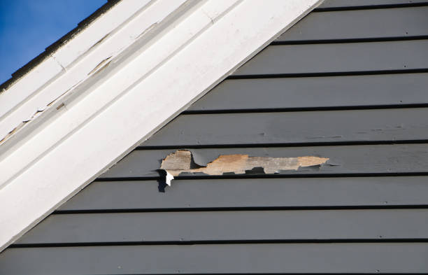 Best Stucco Siding  in San Castle, FL